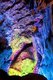 China: Reed Flute Cave, Guilin, Guangxi Province