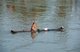 China: A man paddles a bamboo boat on the Li River, Guilin, Guangxi Province